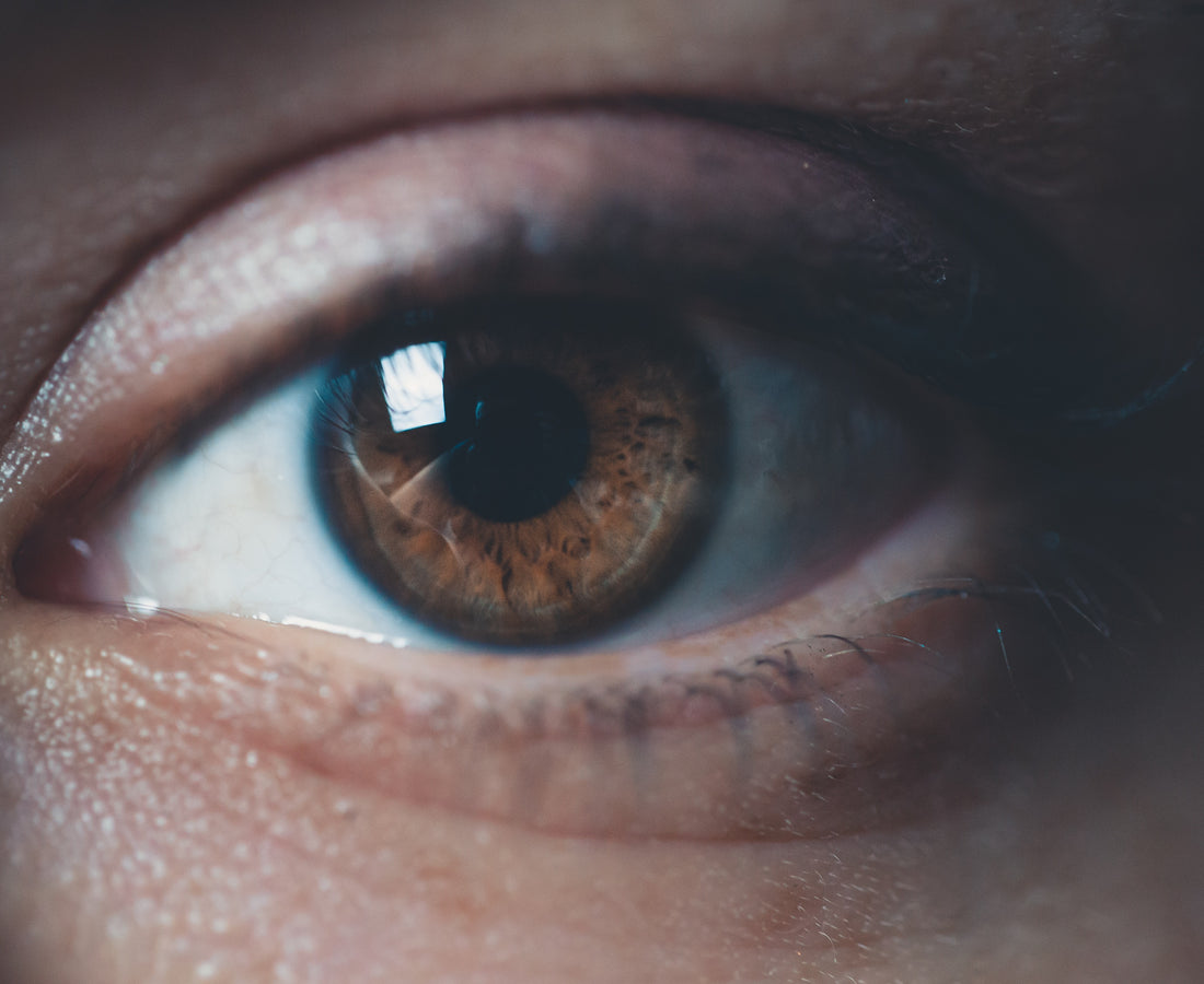 Lessons From Project Lovingkindness