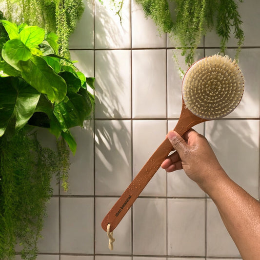 Bath Brush